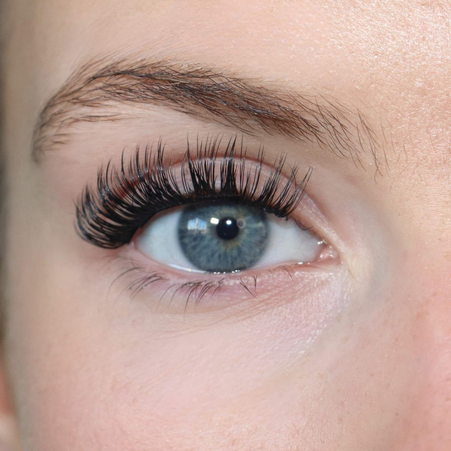 PRE-MAPPED LASHES - DAY DREAM