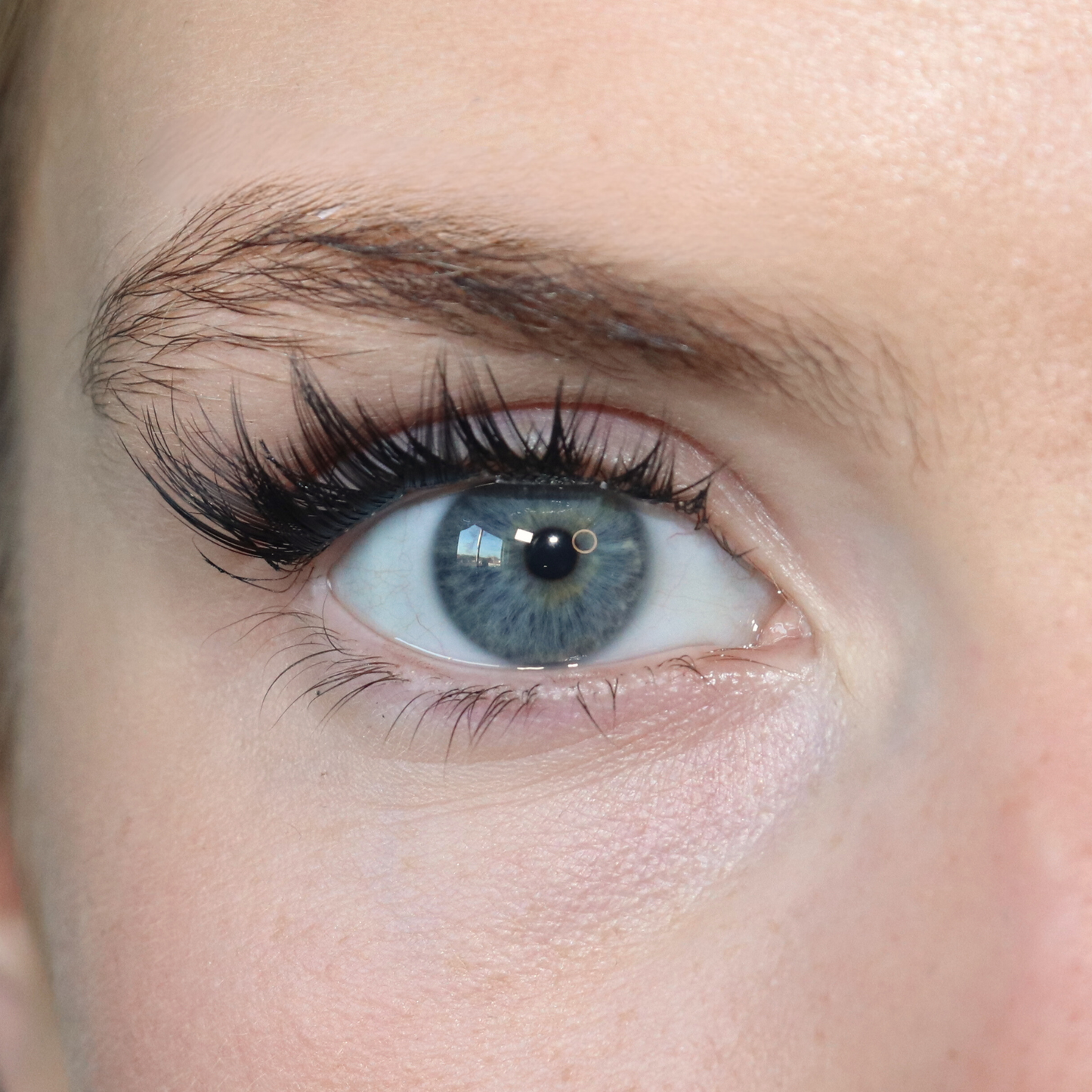 PRE-MAPPED LASHES - DOLL ME UP