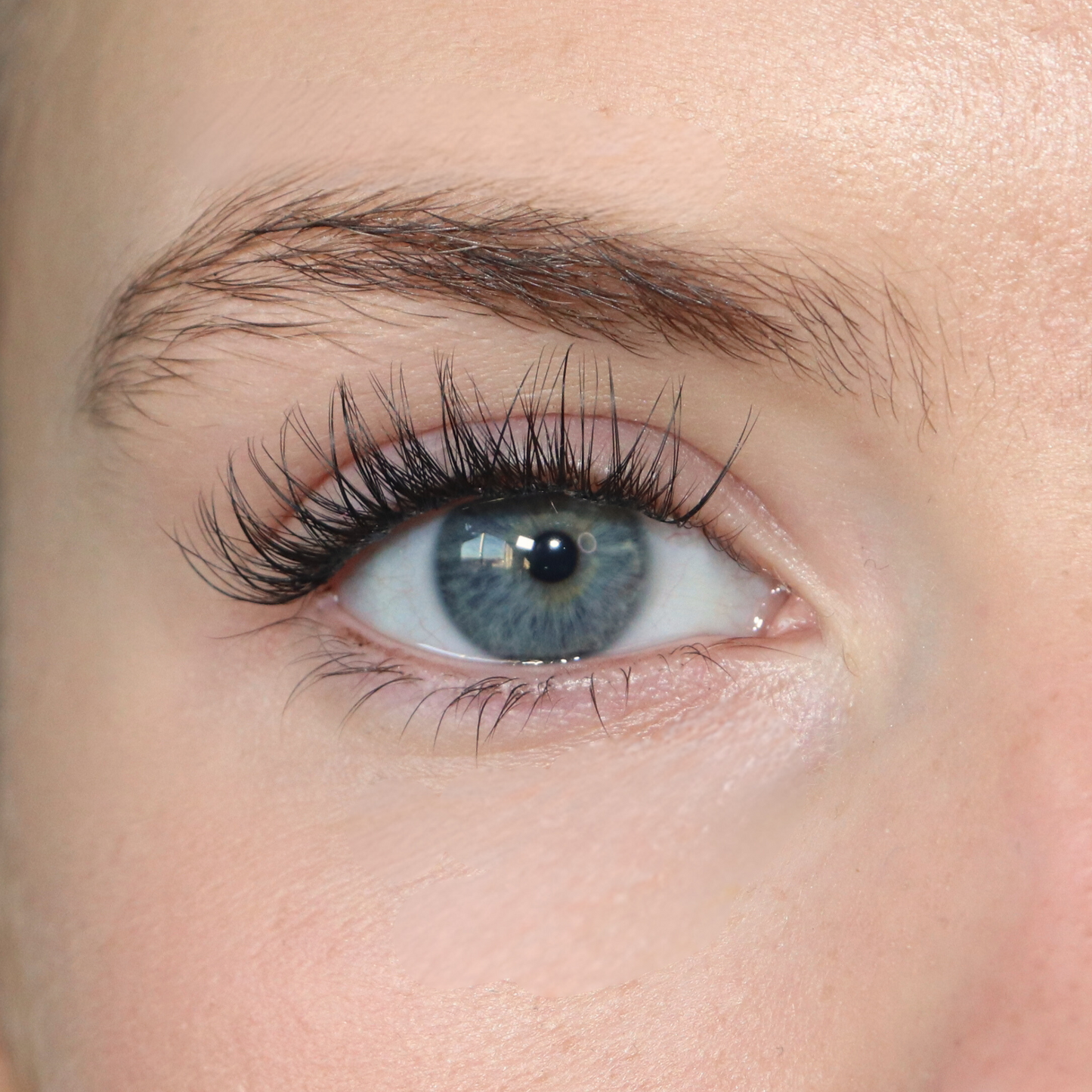 PRE-MAPPED LASHES - HONEY